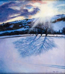Schneeschatten, 2009